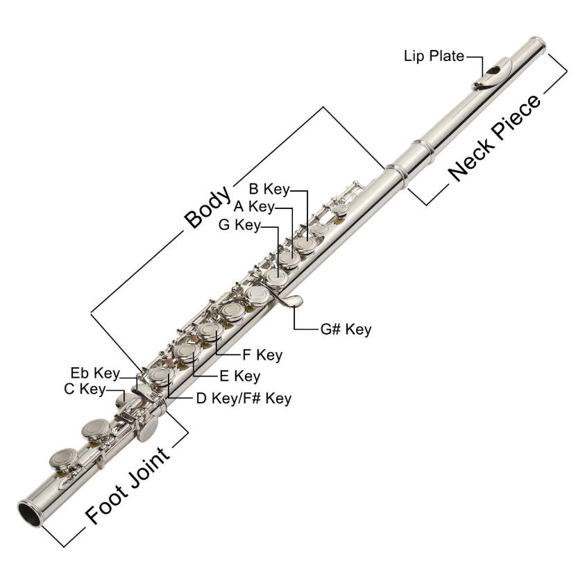 Complete Flute Fingering Guide
